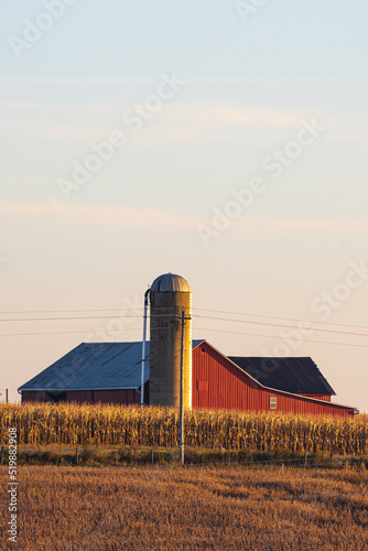 Red barn with silo behind a cornfield in the late afternoon sun | An Amish farm in Holmes County, Ohio