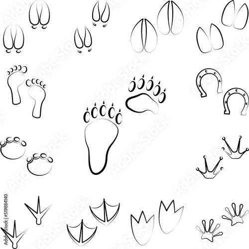 Bear tracks icon in a collection with other items