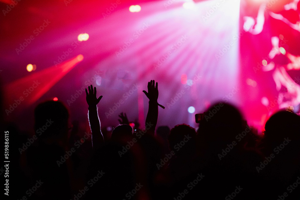 © Melinda Nagy - crowd at concert - summer music festival © Melinda Nagy - crowd at concert - summer music festival