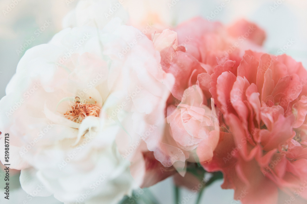 rose floral abstract background photo rose floral abstract background photo