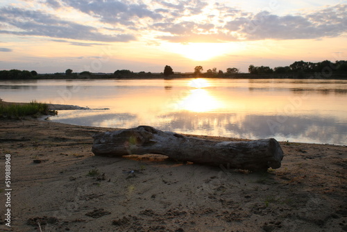 A dry tree is lying on the bank of the river  it is sunset.