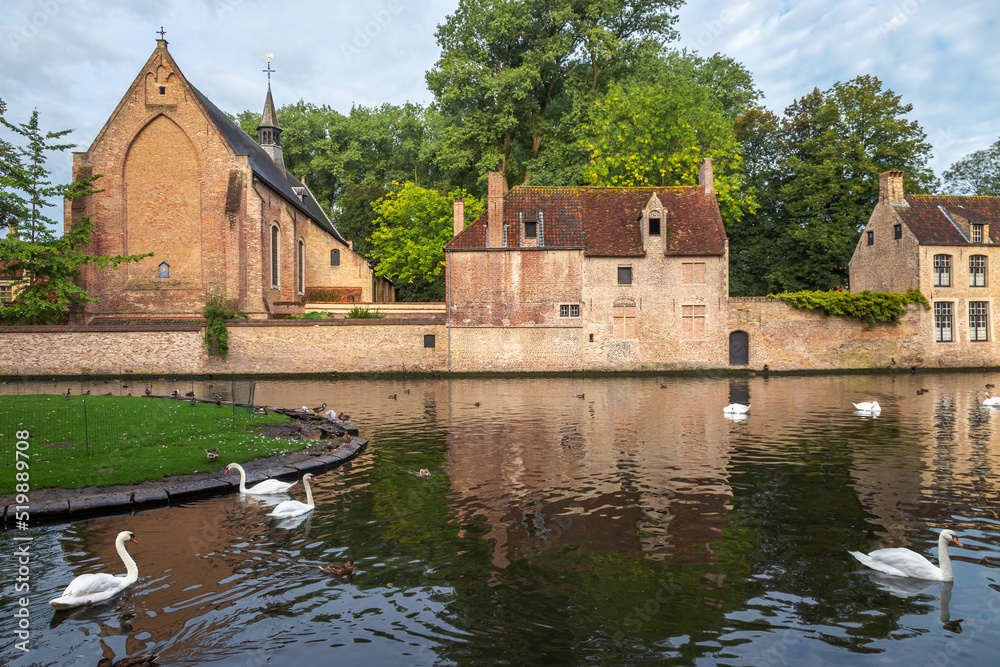 Fototapeta premium Swans line floating on Brugge canal waters with reflection, Belgium