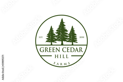Green cedar pine tree logo nature organic environment icon symbol rounded shape illustration
