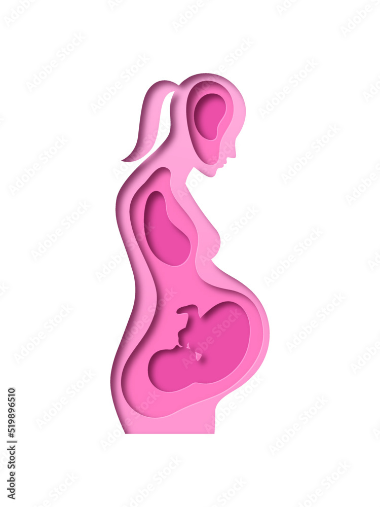 Realistic paper cut pregnant woman with baby fetus growing inside. New mother expecting child. Pink 3D papercut female silhouette illustration for motherhood or medical pregnancy concept. Realistic paper cut pregnant woman with baby fetus growing inside. New mother expecting child. Pink 3D papercut female silhouette illustration for motherhood or medical pregnancy concept.