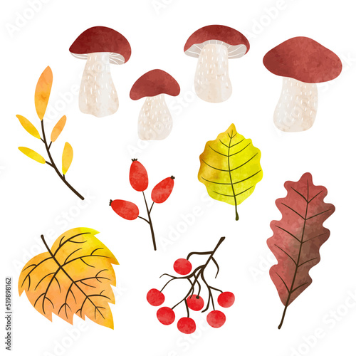 Autumn set with watercolor mushrooms, leaves, berries isolated on white backg...