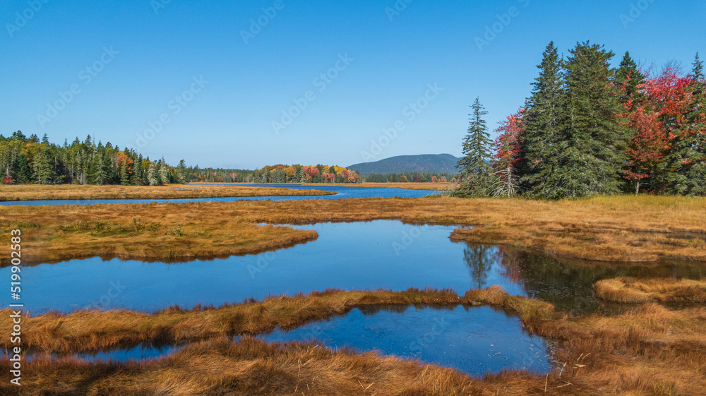 Marsh scene in autumn