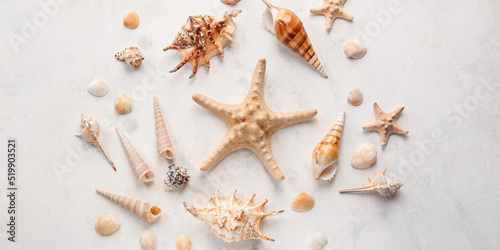 Different sea shells with starfishes on light background