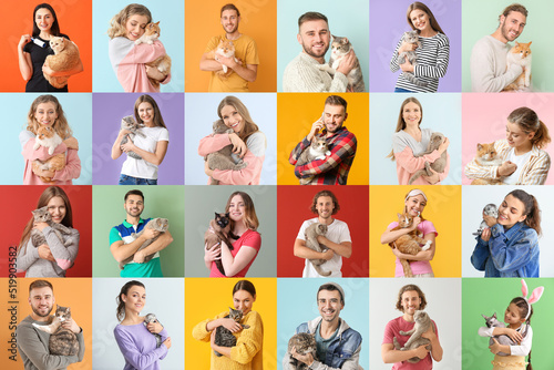 Fototapeta Set of people with funny cats on color background