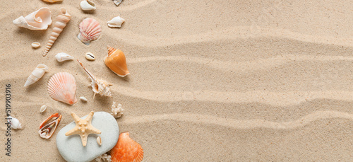Different sea shells on bea...