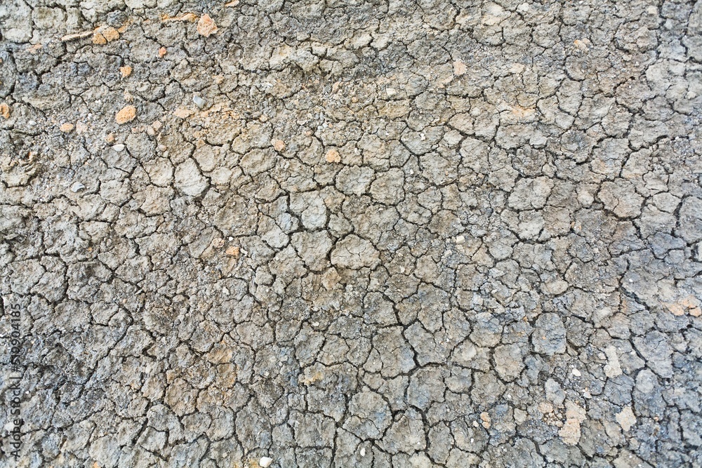 Texture cracked clay ground. Dry land in the desert without water Texture cracked clay ground. Dry land in the desert without water