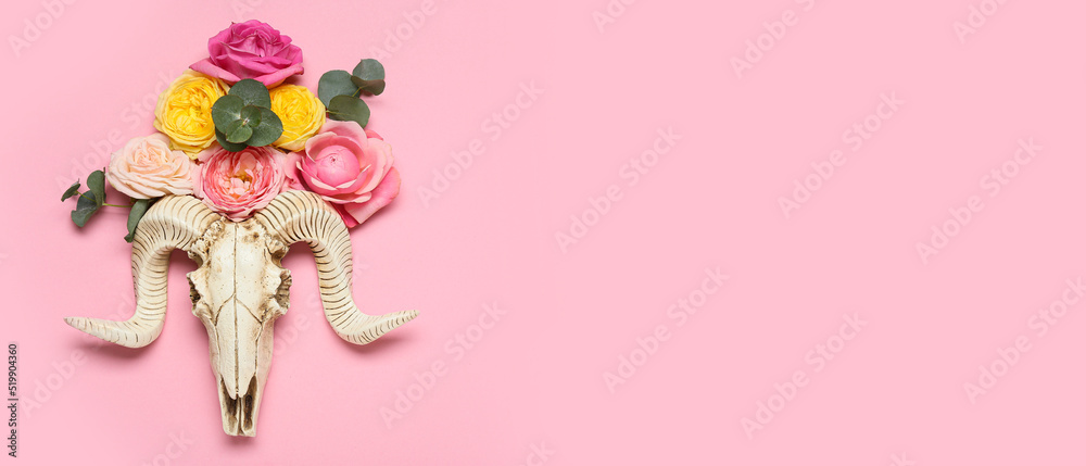 Skull of sheep with flowers on pink background with space for text Skull of sheep with flowers on pink background with space for text