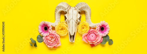 Fotografie, Obraz Skull of sheep with flowers on yellow background