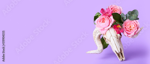 Fototapeta Naklejka Na Ścianę i Meble -  Skull of sheep with flowers on lilac background with space for text