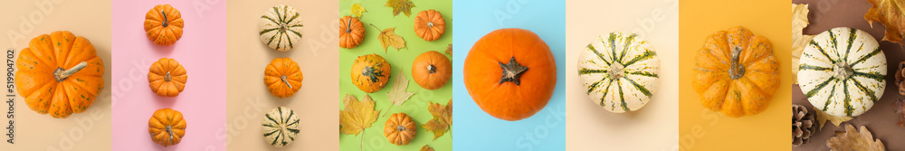 Collection of fresh pumpkins with autumn leaves on color background, top view - obrazy, fototapety, plakaty 