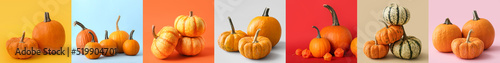 Collection of raw pumpkins ...
