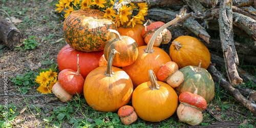 Heap of different fresh pum...