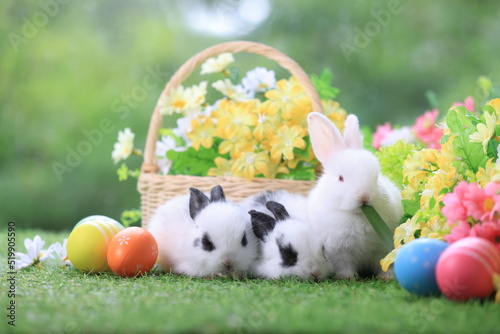 Wall Mural Lovely bunny easter fluffy baby rabbit with a basket full of colorful flowers and easter eggs on green garden nature background on warmimg day