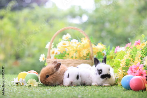 Lovely bunny easter fluffy baby rabbit with a basket full of colorful flowers and easter eggs on green garden nature background on warmimg day. Symbol of easter day festival. photo