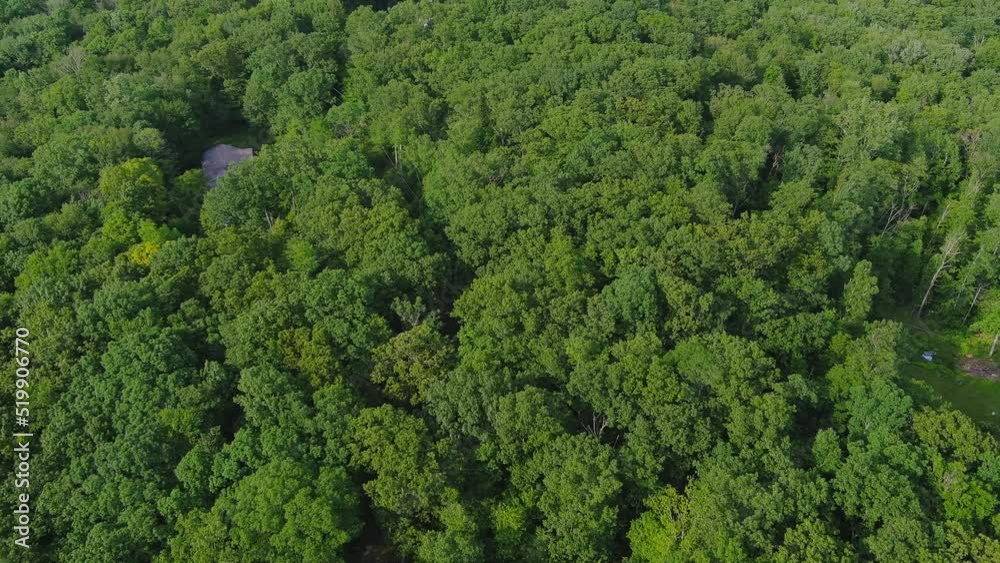Aerial video of beautiful foliate forest and green trees captured by a drone camera Aerial video of beautiful foliate forest and green trees captured by a drone camera