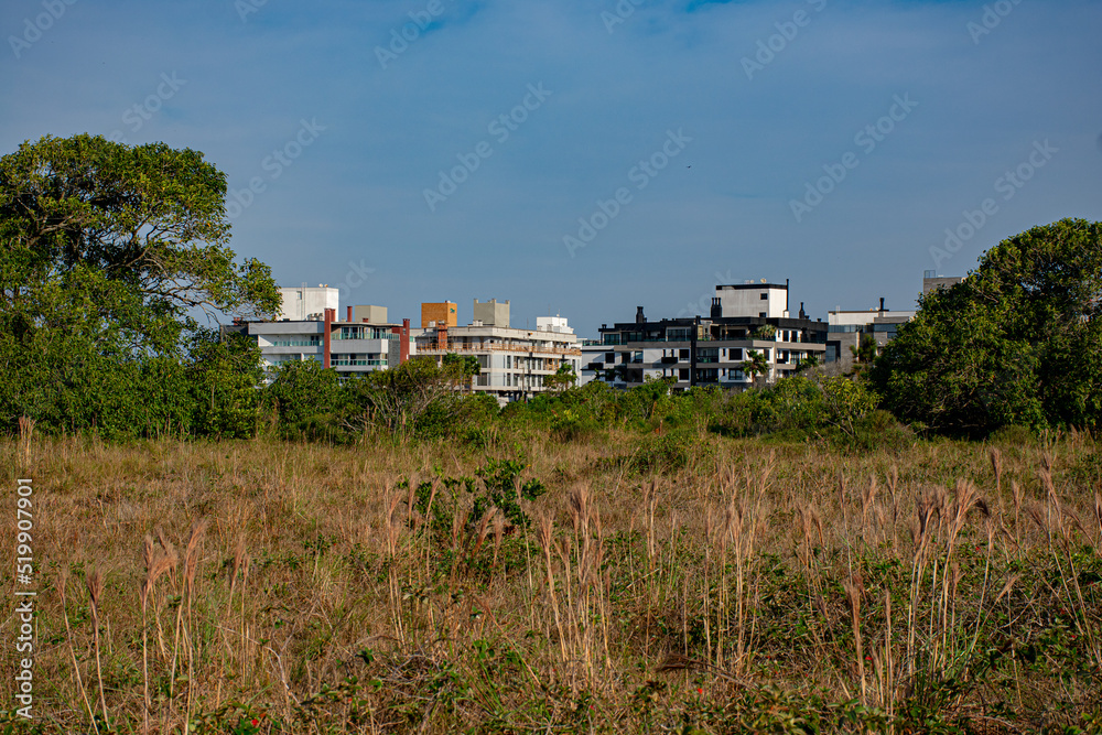 house on the hill