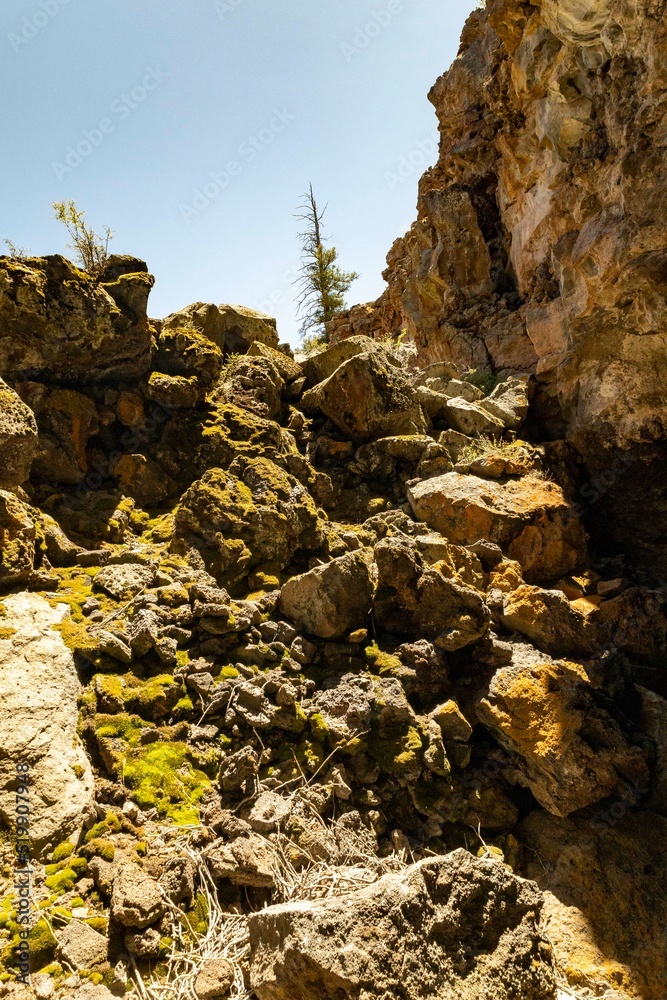 lichen cave entrance
