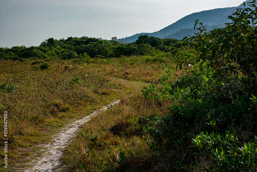 Obraz premium dunes and mountains in the late afternoon in Florianópolis