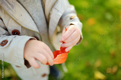 Cute toddler boy holding bright orange lantern-shaped flowers of physalis on autumn day. Winter cherry branch outdoors.