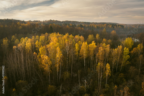 Aerial view of autumn forest with green and yellow trees. Beautiful fall scenery near Vilnius city, Lithuania