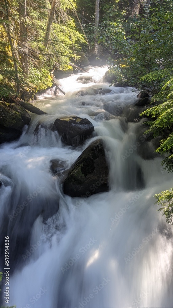 Fototapeta premium waterfall in the forest
