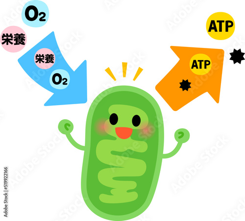 エネルギー生成するミトコンドリアのキャラクター