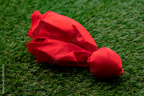 Obraz na płótnie Red challenge flag thrown on the field concept for coach challenging the previous play and American football w salonie