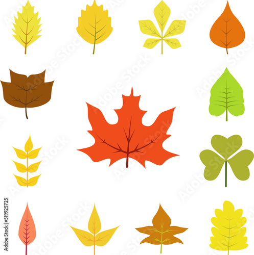 Autumn leave  red icon in a collection with other items
