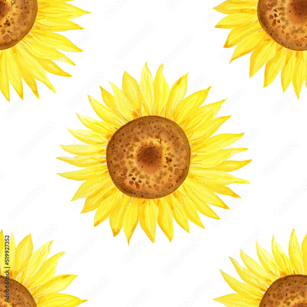 Sunflowers watercolor seamless pattern. Blooming heads of yellow flowers of agriculture endless background. Hand drawn illustration for fabric and wrapping paper.