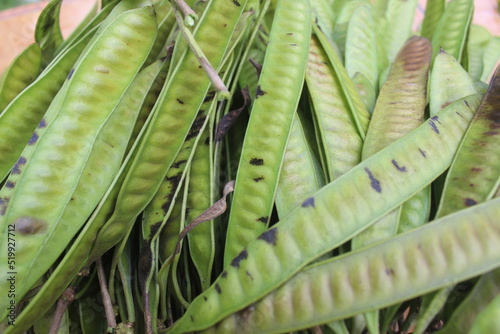 Lamtoro, Petai, or mlanding is a tropical annual tree of the legume tribe, the petai-petai tribe. This plant is widespread in the western archipelago.
The seeds, which are also called “petai”
 photo