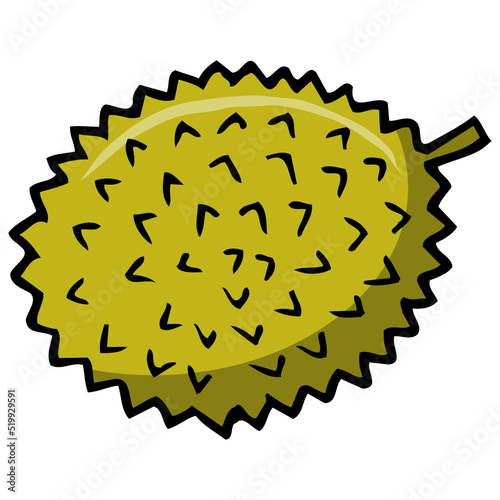durian fruit vector illustration