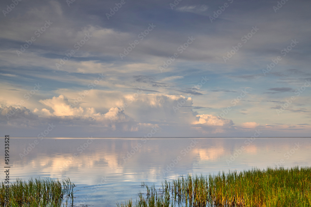 A beautiful calm and quiet view of lake water with a cloudy sky reflection and green grass on the bank. The landscape of a magical horizon with copy space outdoors in nature or a peaceful environment