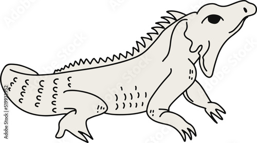 Iguana espinoza