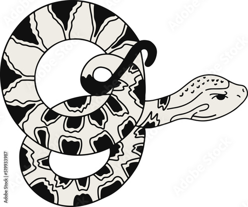 Nauyaca guerrerense
