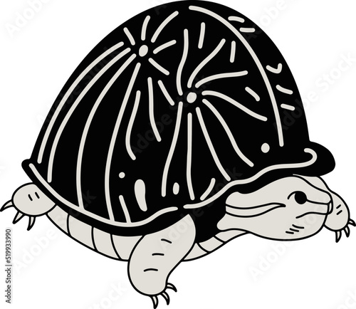 Tortuga de caja
