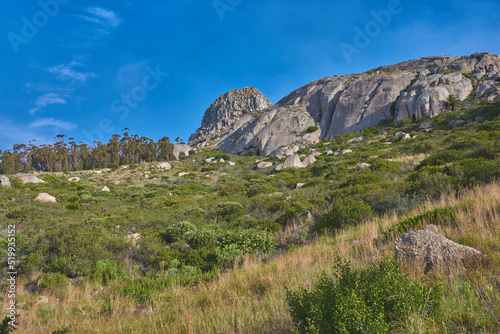 Beautiful mountain peaks, green lush bushes and trees growing peacefully on Lions Head, South Africa. Large area of wilderness in forest landscape with calming fresh air, ecological life and harmony