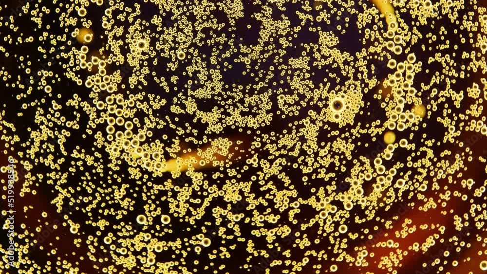 Circling and popping beer bubbles in a glass. 4k macro video footage Circling and popping beer bubbles in a glass. 4k macro video footage