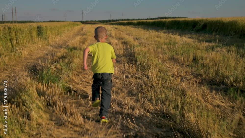 Little boy running among the wheat field Little boy running among the wheat field