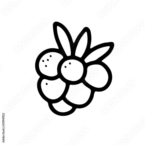 Doodle ripe raspberry. Outline berry with leaves on white background. Hand-drawn fruit. Symbol of summer, healthy raw food, gardening, market. Fresh cute organic print. Vector blackberry illustration