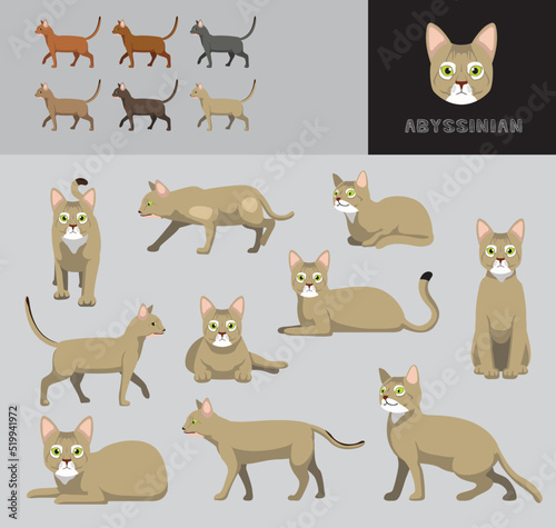 Fototapeta Naklejka Na Ścianę i Meble -  Cat Abyssinian Fawn Color Cartoon Vector Illustration Color Variation Set