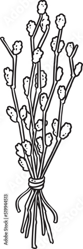 Spring flowers. Vintage hand drawn pussy-willow. Sketch. Vector engraving illustration. Easter