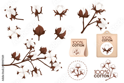Set of cotton flower branch with cotton label badge vector illustration isolated on white background