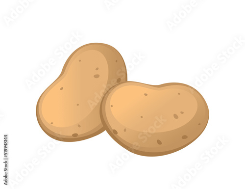 Fresh raw unpeeled potatoes vector illustration isolated on white background © An-Maler
