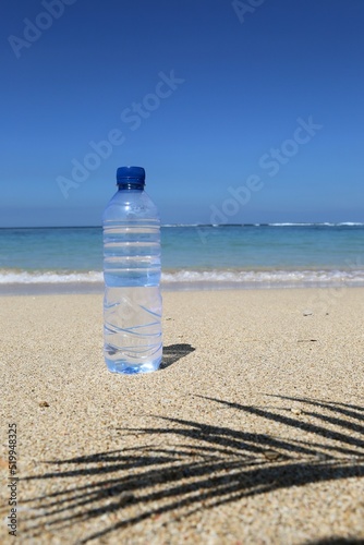 transparent bottle of water on the ocean and palm leaf