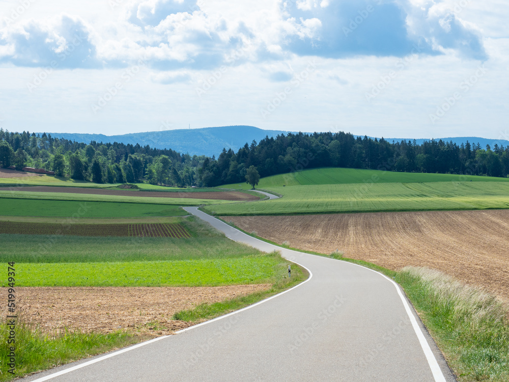 Black Forest, Germany - May 29th 2022: A small country road leading through rural landscape.