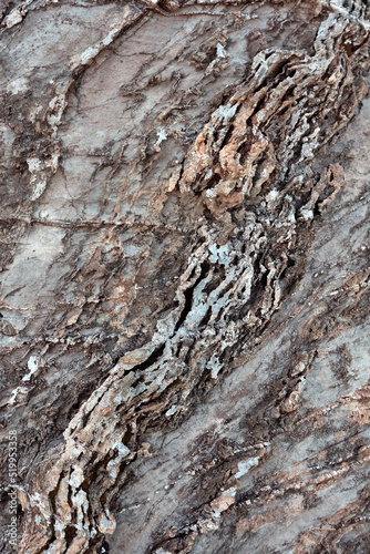 Detail of grey, deformed and curved layers in rock, caused by geological forces, natural background photo